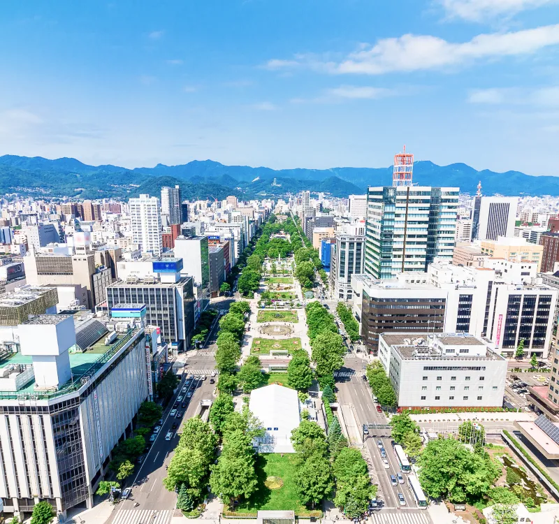 View of Odori Park and downtown Sapporo