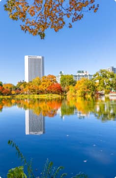 中島公園の池と紅葉の景色